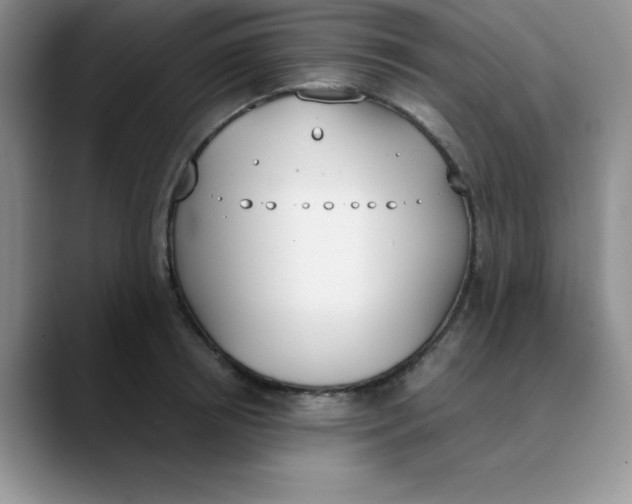 X0000089850850200707191901