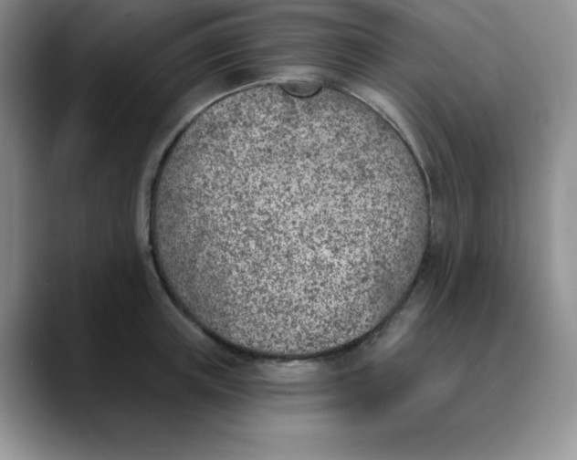 X0000089850851200707191901