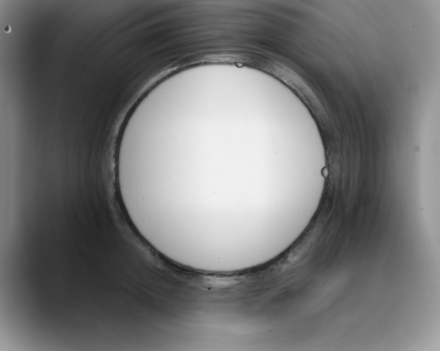 X0000089850852200707191901