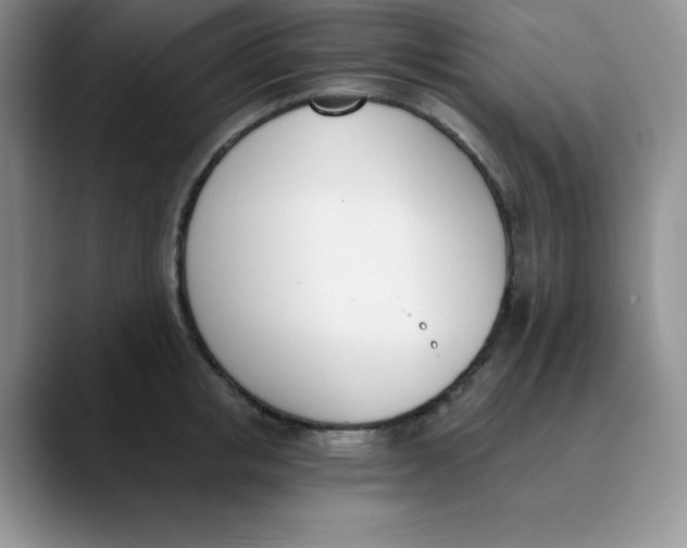 X0000089850853200707191901