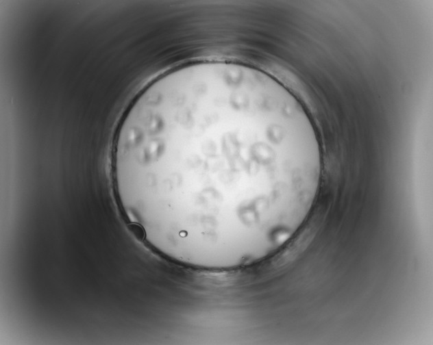 X0000089850855200707191901