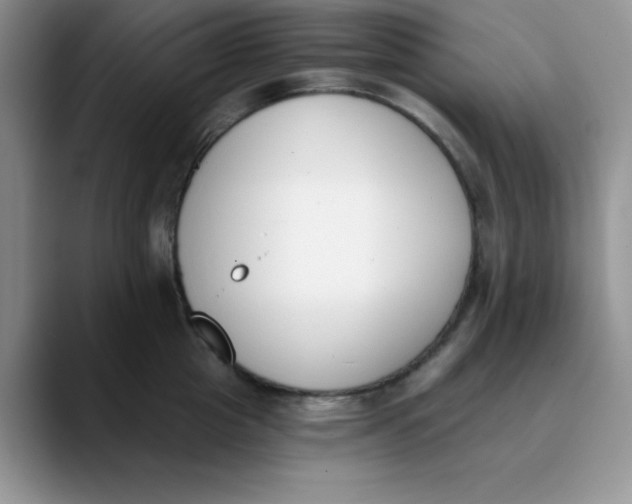 X0000089850857200707191901