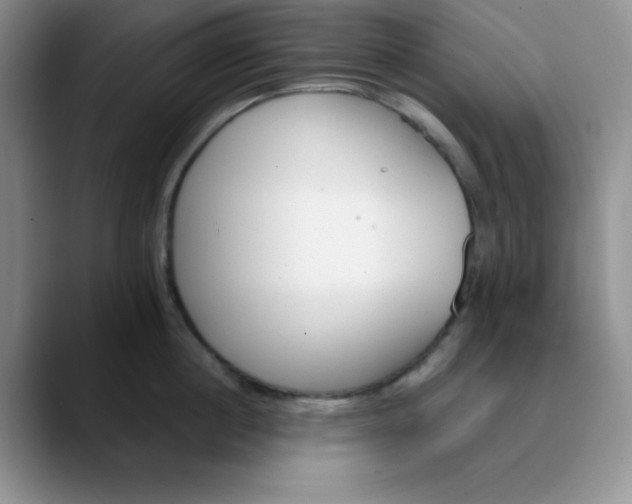 X0000089850860200707191901