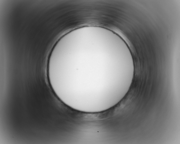 X0000089850861200707191901