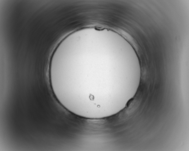 X0000089850863200707191901