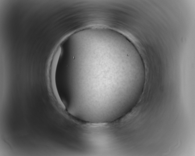 X0000089850864200707191901