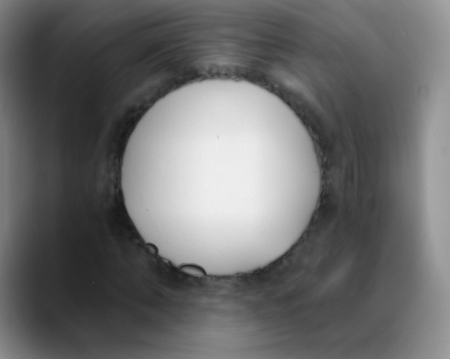 X0000089850870200707191900