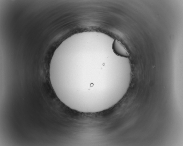 X0000089850871200707191900