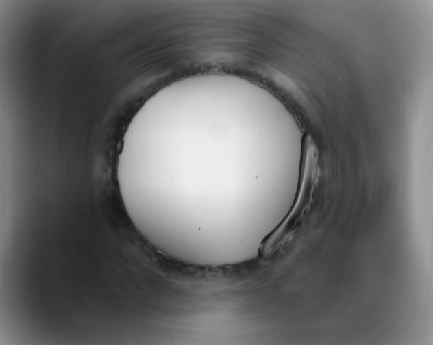 X0000089850872200707191900