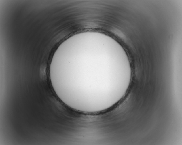 X0000089850873200707191900