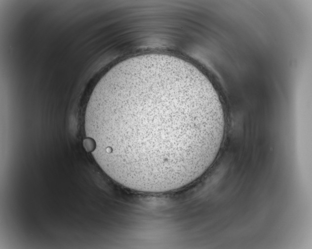 X0000089850874200707191900