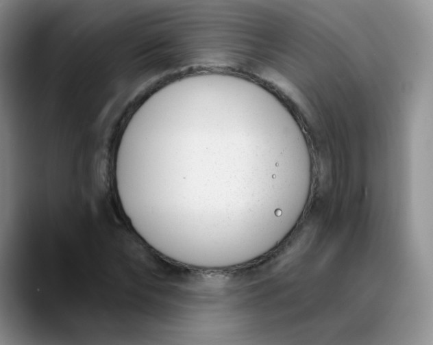 X0000089850878200707191900