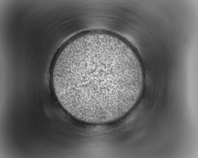 X0000089850879200707191900