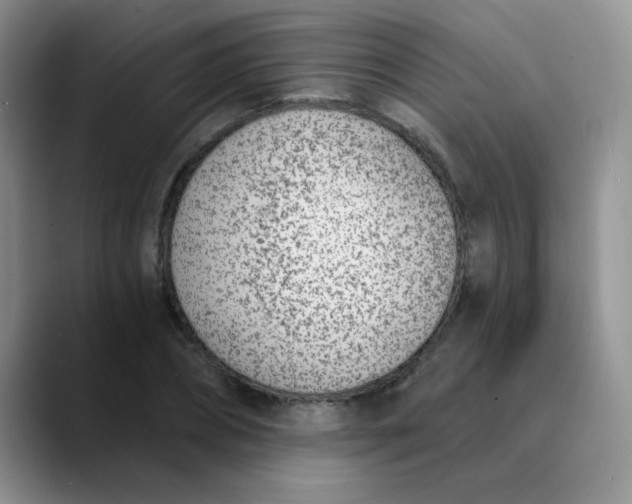 X0000089850882200707191900