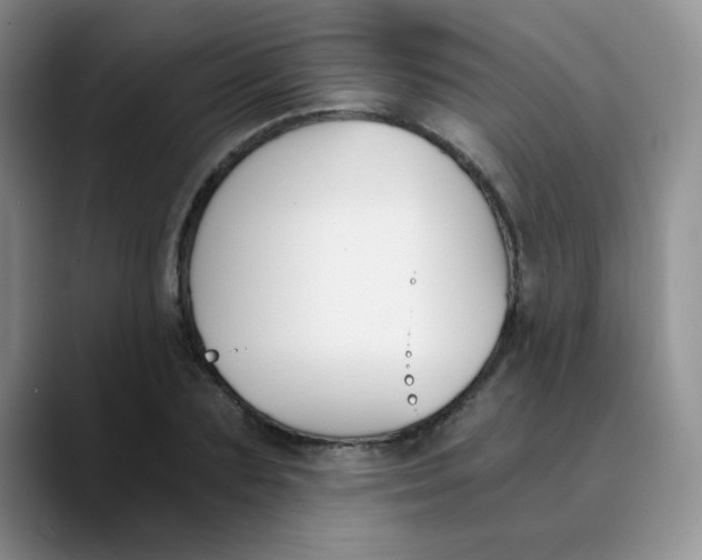 X0000089850883200707191900