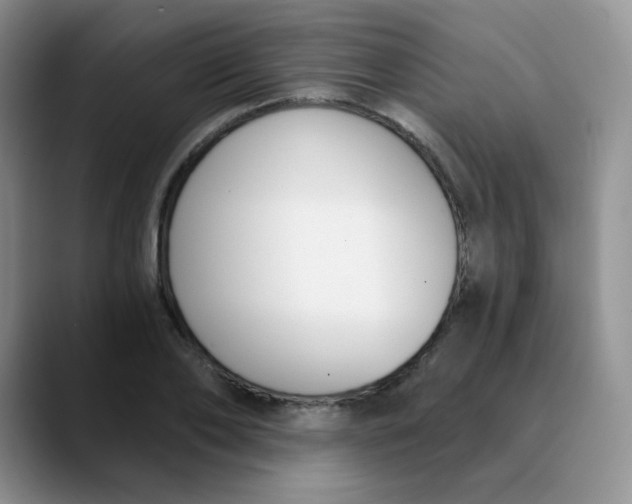 X0000089850886200707191900