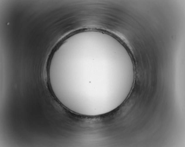 X0000089850887200707191900