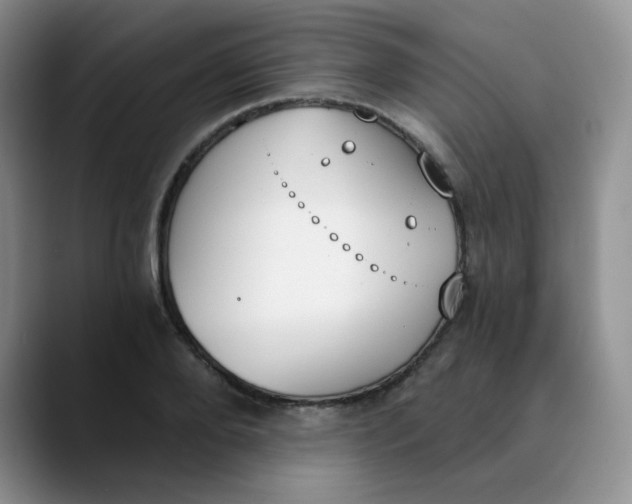 X0000089850888200707191900