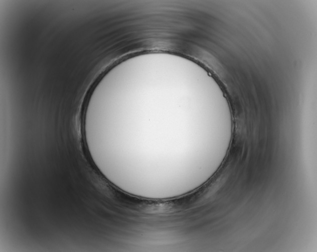 X0000089850891200707191900