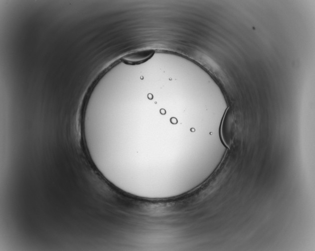 X0000089850892200707191900