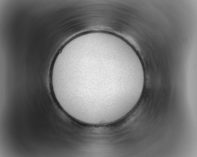 X0000089850895200707191900