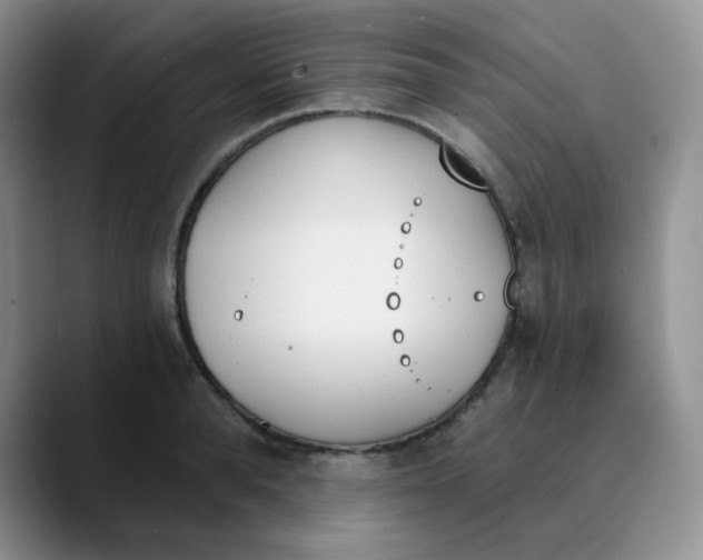 X0000089850896200707191900