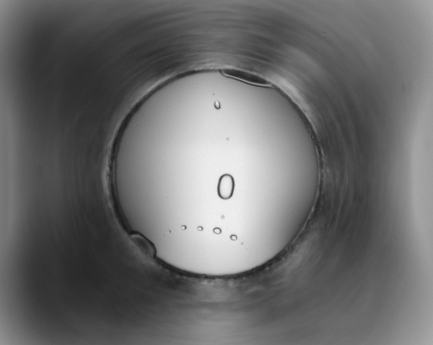 X0000089850901200707191900