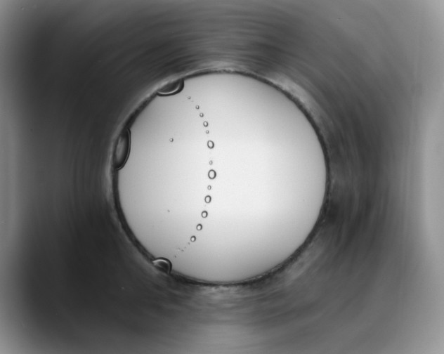 X0000089850902200707191900