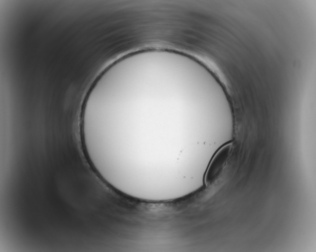 X0000089850903200707191900