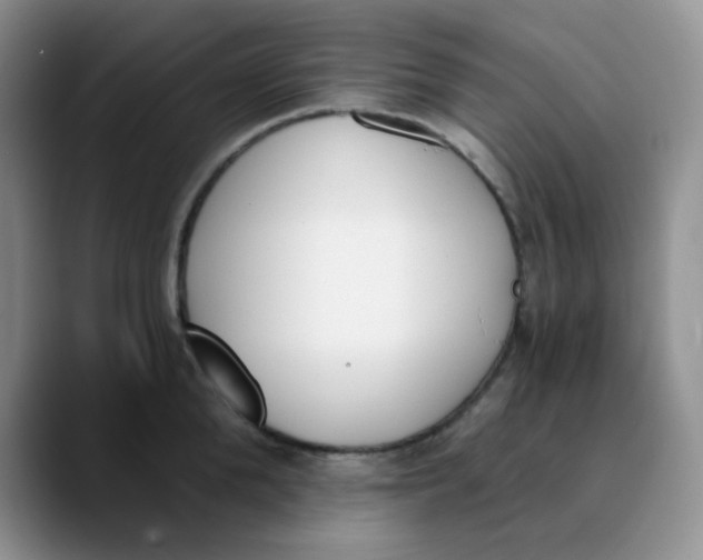 X0000089850904200707191900