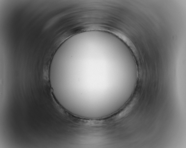 X0000089850905200707191900