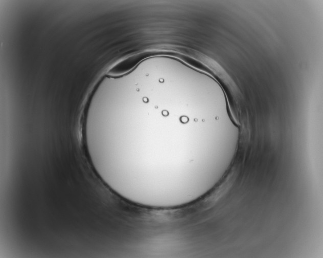 X0000089850908200707191900