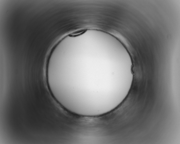 X0000089850910200707191900