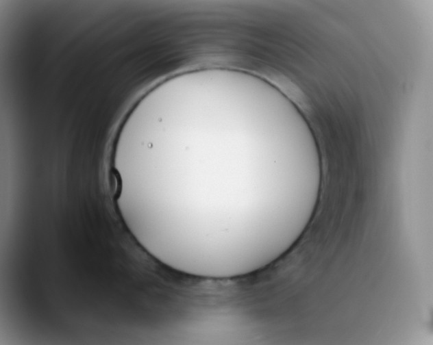 X0000089850912200707191900