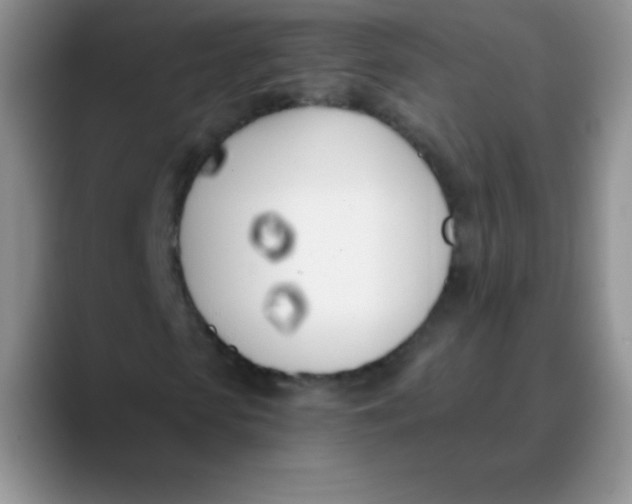 X0000089850913200707191859