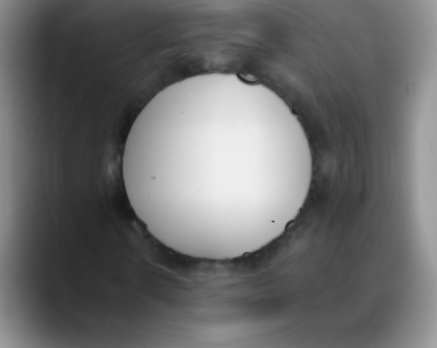 X0000089850914200707191859