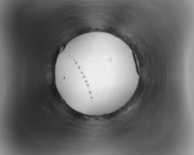 X0000089850916200707191859