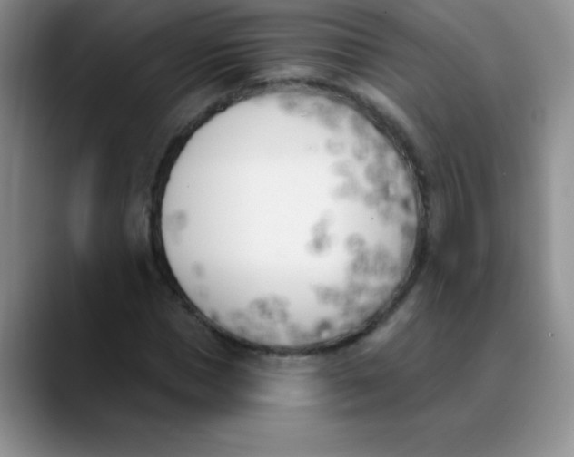 X0000089850921200707191859