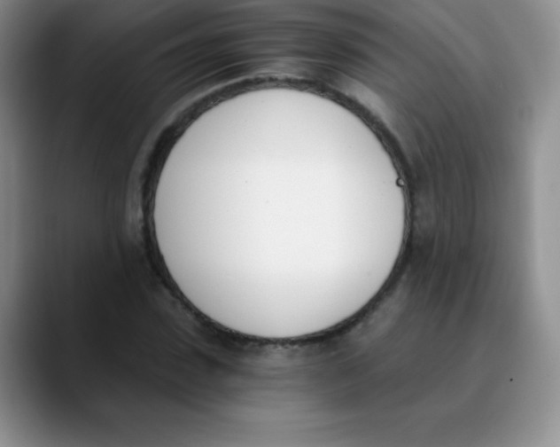 X0000089850923200707191859