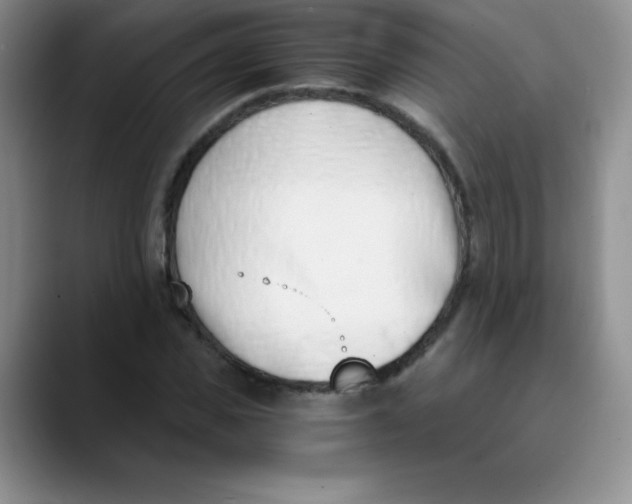 X0000089850925200707191859