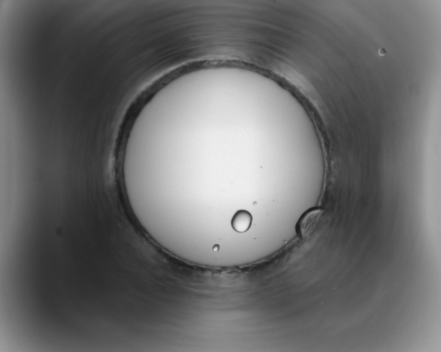 X0000089850928200707191859