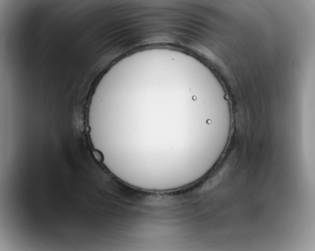 X0000089850929200707191859