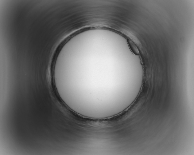 X0000089850936200707191900