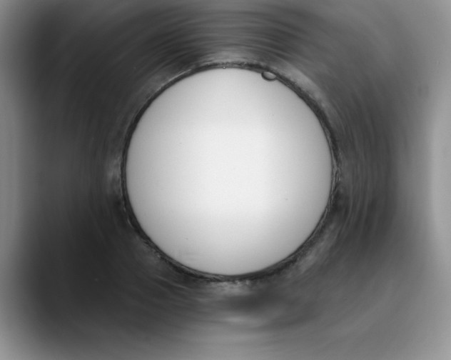 X0000089850937200707191900