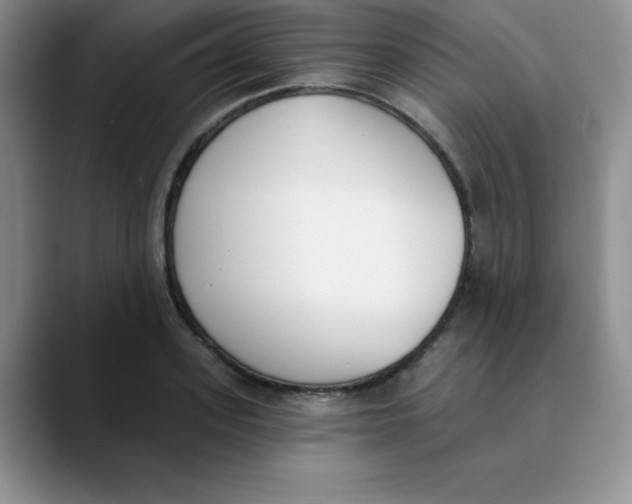 X0000089850939200707191900