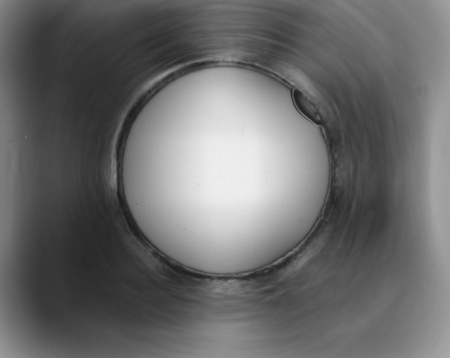 X0000089850940200707191900