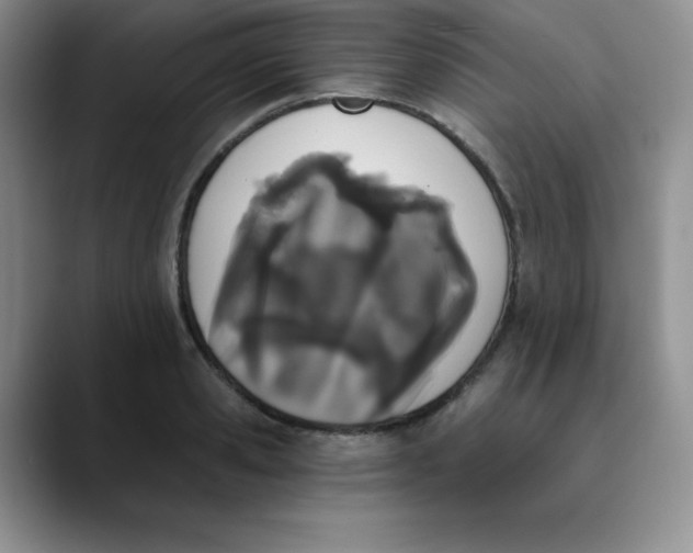 X0000089850941200707191900