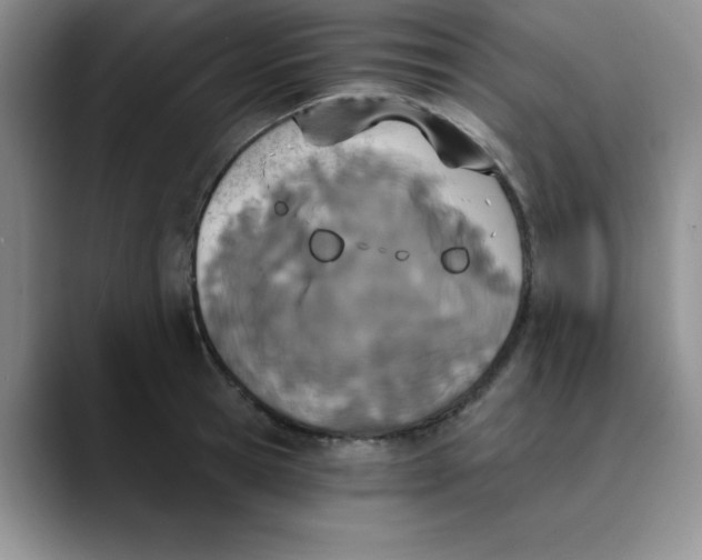 X0000089850945200707191900