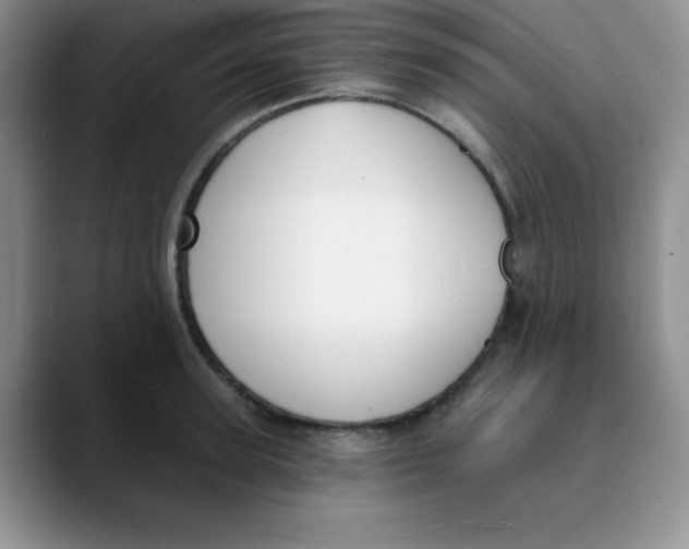 X0000089850947200707191900