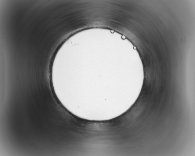 X0000089850950200707191900